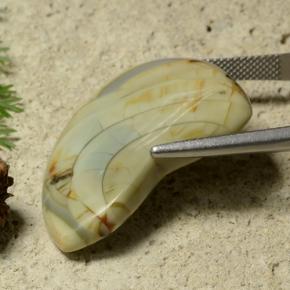 Jaspe Multicolore naturelle Forme fantaisie, 25.50 ct, Opaque