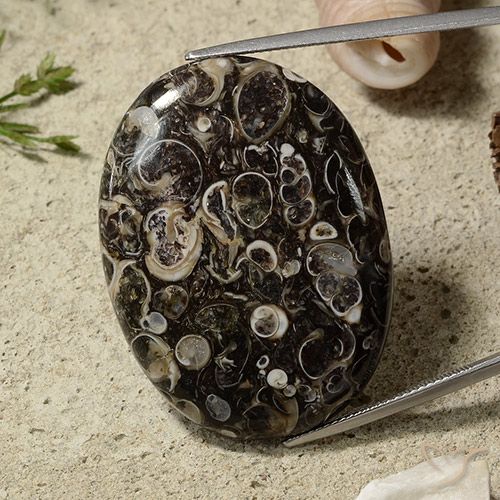 51.44ct Naturel Multicolore Jaspe, ovale, Opaque