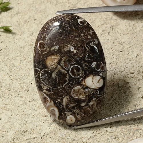 31.54ct Naturel Multicolore Jaspe, ovale, Opaque, Photo A