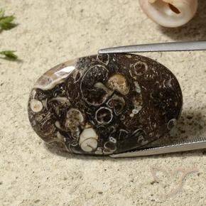 Jaspe Multicolore naturelle ovale, 31.54 ct, Opaque