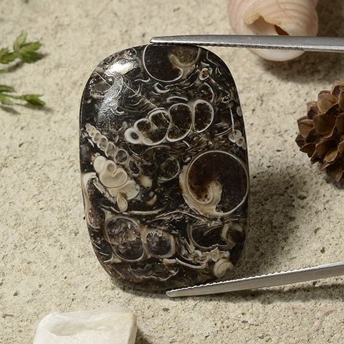 35.69ct Naturel Multicolore Jaspe, Coussin, Opaque