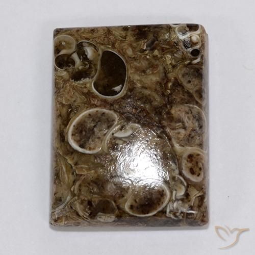 Jaspe Multicolore naturelle Baquette, 18.34 ct, Opaque