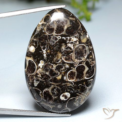 39.93ct Naturel Multicolore Jaspe, En forme de poire, Opaque
