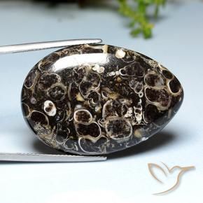 Jaspe Multicolore naturelle En forme de poire, 39.93 ct, Opaque