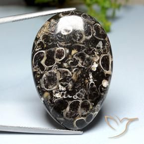 Jaspe Multicolore naturelle En forme de poire, 39.93 ct, Opaque