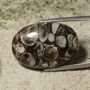 Jaspe Multicolore naturelle ovale, 29.80 ct, Opaque