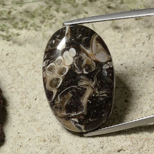 22.52ct Naturel Multicolore Jaspe, ovale, Opaque