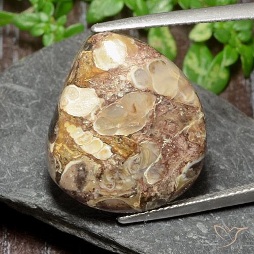 Jaspe Multicolore naturelle Fantaisie, 17.47 ct, Opaque