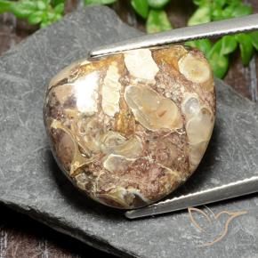 Jaspe Multicolore naturelle Fantaisie, 17.47 ct, Opaque
