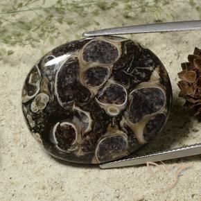 Jaspe Multicolore naturelle ovale, 28.37 ct, Opaque