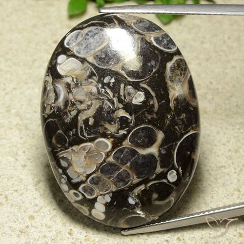 43.81ct Naturel Multicolore Jaspe, ovale, Opaque