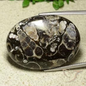 Jaspe Multicolore naturelle ovale, 43.81 ct, Opaque