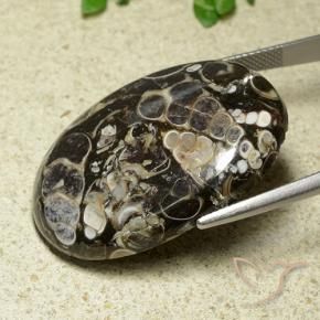 Jaspe Multicolore naturelle ovale, 43.81 ct, Opaque
