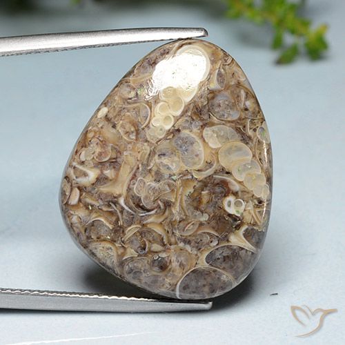 20.52ct Naturel Multicolore Jaspe, Fantaisie, Opaque
