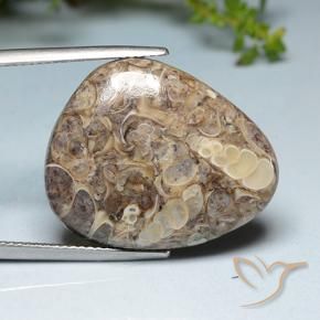 Jaspe Multicolore naturelle Fantaisie, 20.52 ct, Opaque