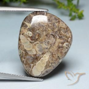 Jaspe Multicolore naturelle Fantaisie, 20.52 ct, Opaque