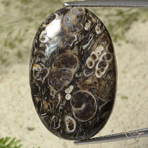 28.41ct Naturel Multicolore Jaspe, ovale, Opaque