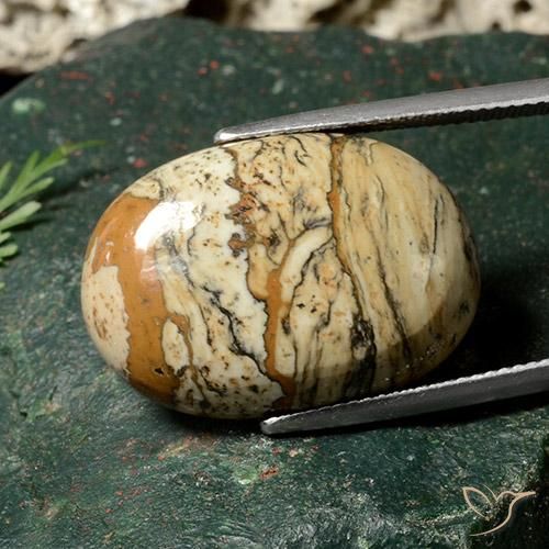 Jaspe Multicolore naturelle ovale, 19.06 ct, Opaque