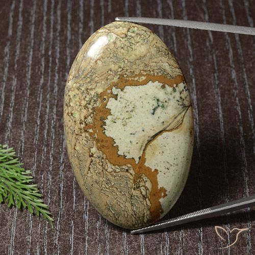 73.63ct Naturel Multicolore Jaspe, ovale, Opaque