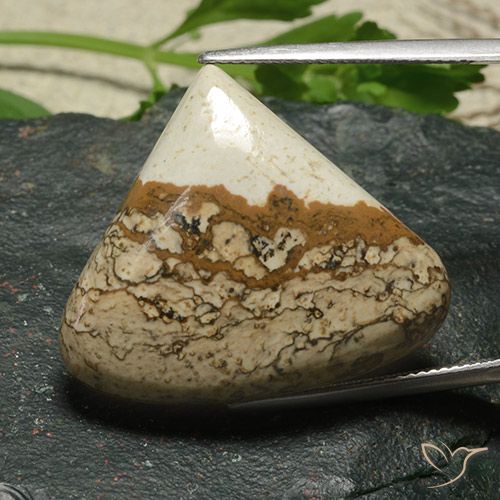 33.81ct Naturel Multicolore Jaspe, En forme de poire, Opaque