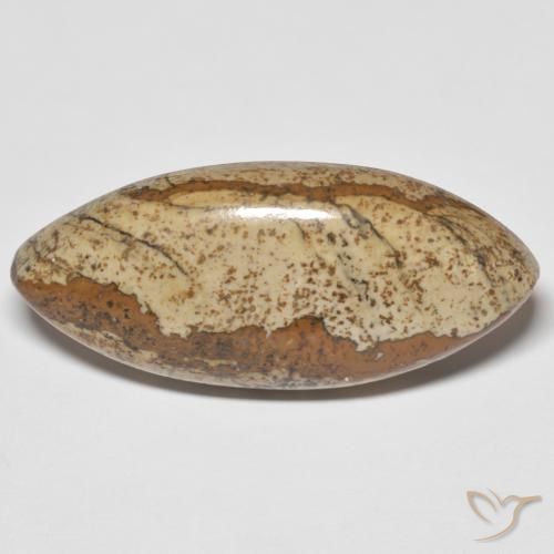 29.48ct Naturel Multicolore Jaspe, Marquise, Opaque