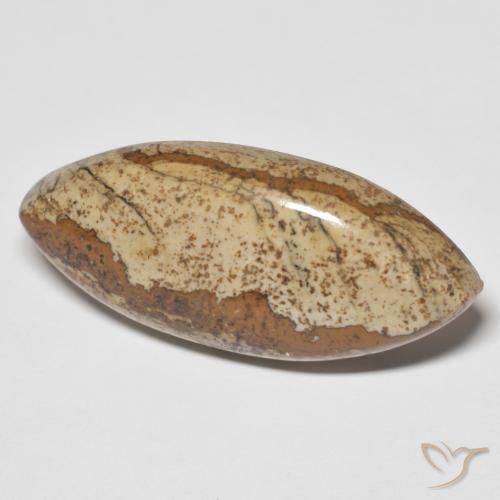 Jaspe Multicolore naturelle Marquise, 29.48 ct, Opaque