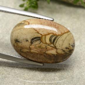 Jaspe multicolore naturelle coupe ovale, 13,79 ct, opaque