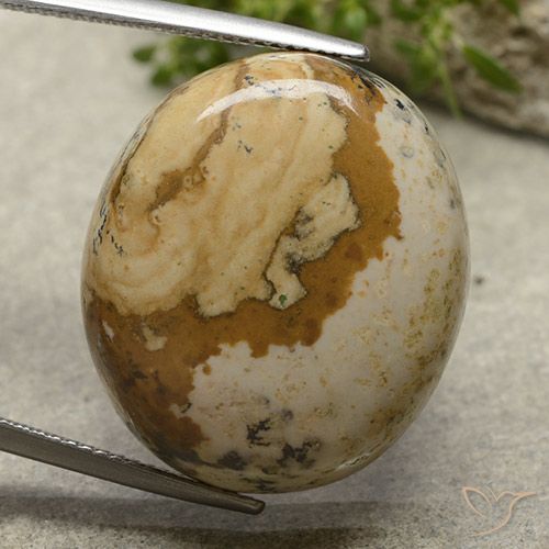 31.27ct Naturel Multicolore Jaspe, ovale, Opaque