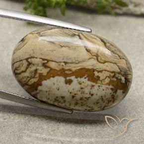 Jaspe Multicolore naturelle ovale, 22.94 ct, Opaque