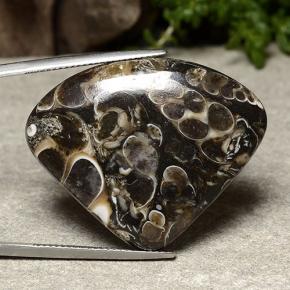 Jaspe multicolore naturelle en forme de poire, 36,58 ct, opaque