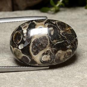 Jaspe multicolore naturelle coupe ovale, 22,57 ct, opaque