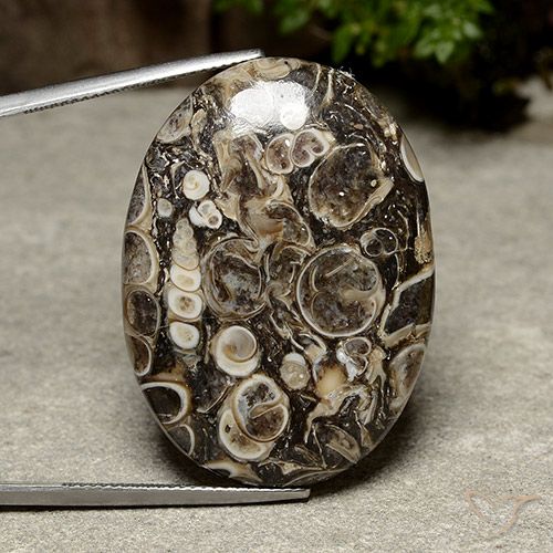 39.98ct Naturel Multicolore Jaspe, ovale, Opaque