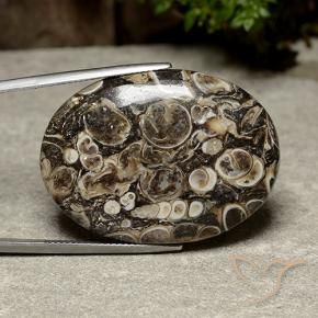 Jaspe Multicolore naturelle ovale, 39.98 ct, Opaque