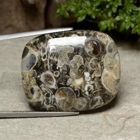 Jaspe Multicolore naturelle Coussin, 38.76 ct, Opaque