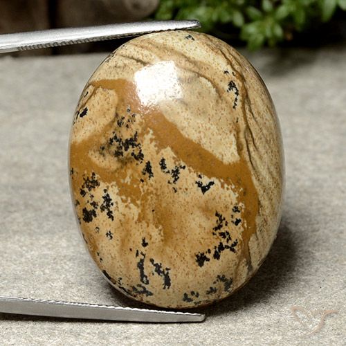 44.97ct Naturel Multicolore Jaspe, ovale, Opaque
