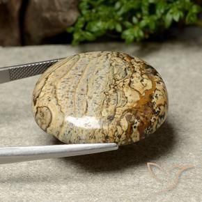 Jaspe Multicolore naturelle ovale, 41.44 ct, Opaque