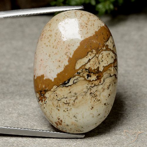 40.14ct Naturel Multicolore Jaspe, ovale, Opaque