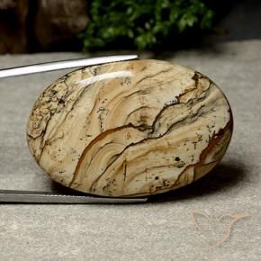 Jaspe Multicolore naturelle ovale, 64.04 ct, Opaque