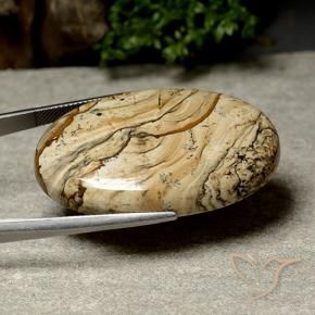 Jaspe Multicolore naturelle ovale, 64.04 ct, Opaque