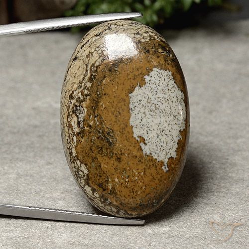 40.46ct Naturel Multicolore Jaspe, ovale, Opaque