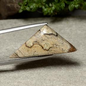 Jaspe multicolore naturelle trillion, 15,95 ct, opaque