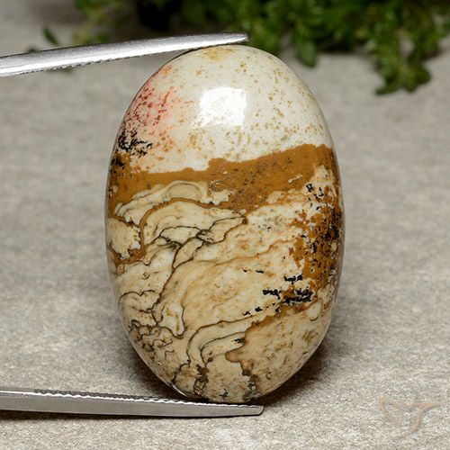 38.46ct Naturel Multicolore Jaspe, ovale, Opaque