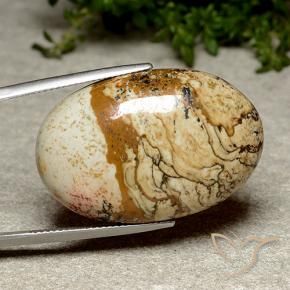 Jaspe Multicolore naturelle ovale, 38.46 ct, Opaque