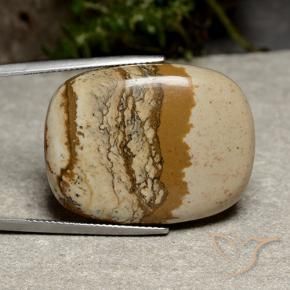 Jaspe Multicolore naturelle Coussin, 47.11 ct, Opaque