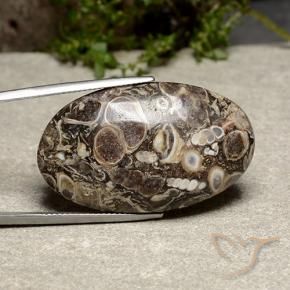 Jaspe Multicolore naturelle ovale, 39.13 ct, Opaque