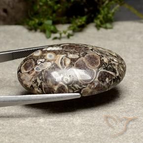 Jaspe Multicolore naturelle ovale, 39.13 ct, Opaque
