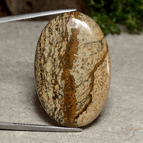 34.86ct Naturel Multicolore Jaspe, ovale, Opaque