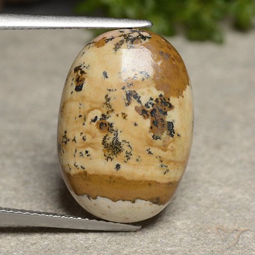 14.50ct Naturel Multicolore Jaspe, ovale, Opaque