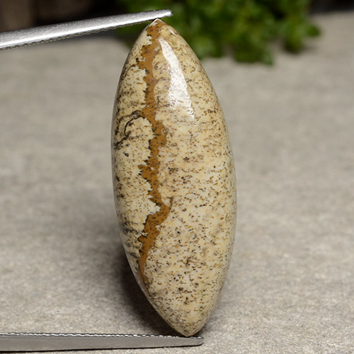 Jaspe multicolore naturelle marquise, 17,23 ct, opaque