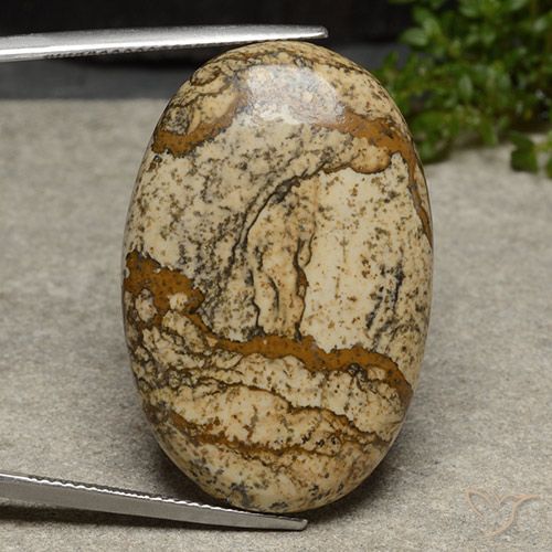 40.46ct Naturel Multicolore Jaspe, ovale, Opaque